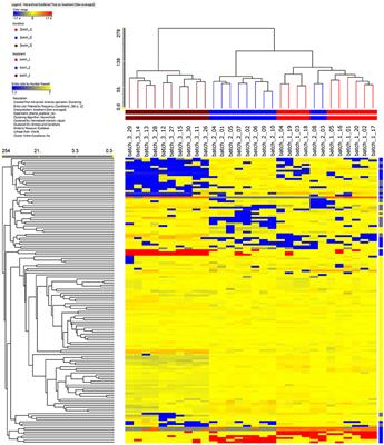 Phenolic Profiling for Traceability of Vanilla ×tahitensis